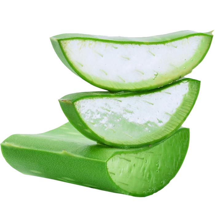 aloevera aloevera