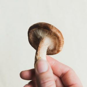 hand-holding-a-mushroom