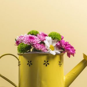 flowers in yellow watering can