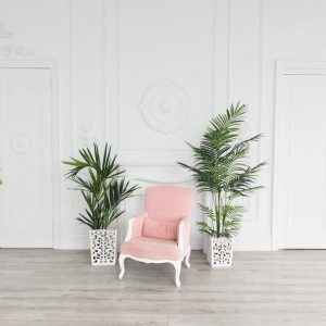 soft pink cushioned armchair in stately salon